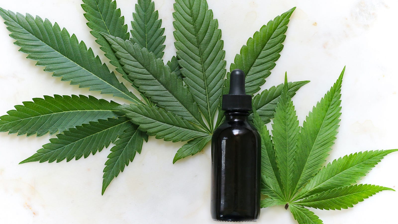 cbd